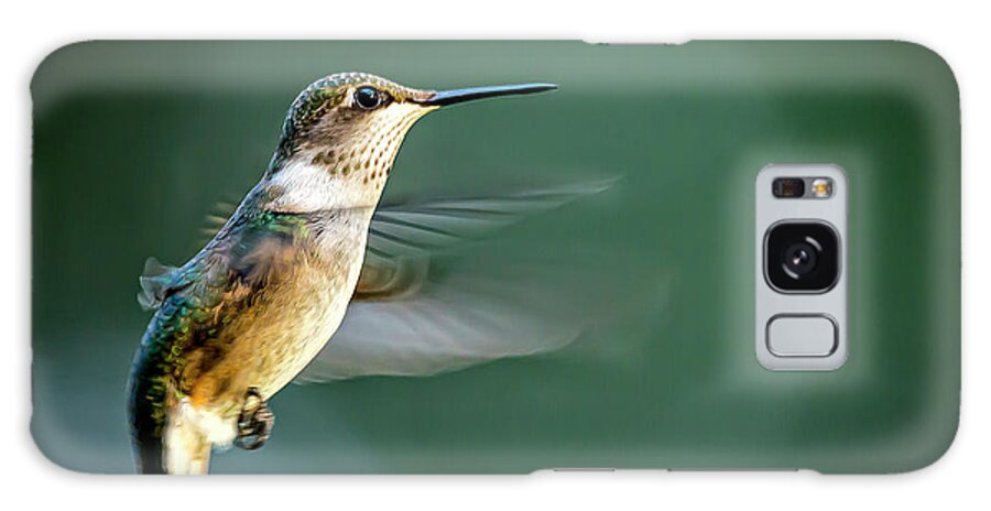Hummingbird Galaxy Case featuring the photograph Ruby-throated Hummingbird in Flight by Phil And Karen Rispin