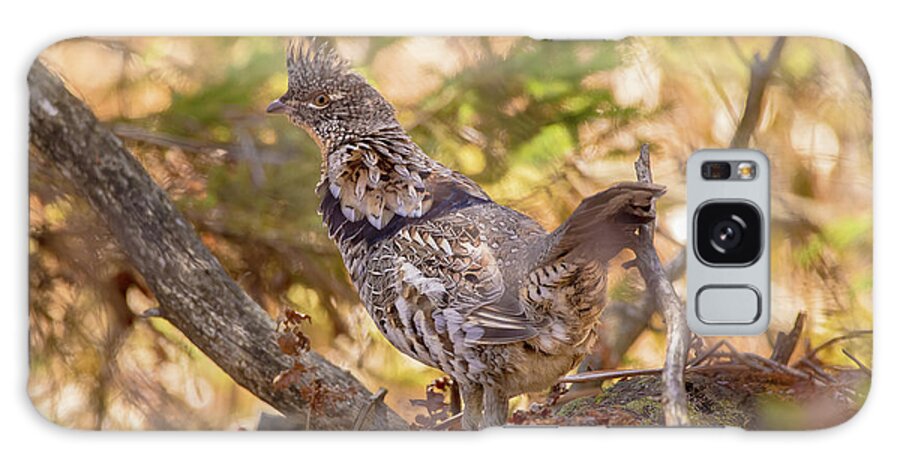 Wildlife Galaxy Case featuring the photograph Ruffed Grouse Partridge -9211 by Norris Seward