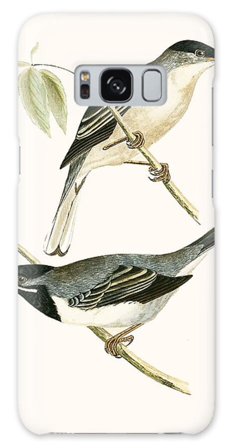 Warbler Galaxy Case featuring the painting Ruppell's Warbler by English School
