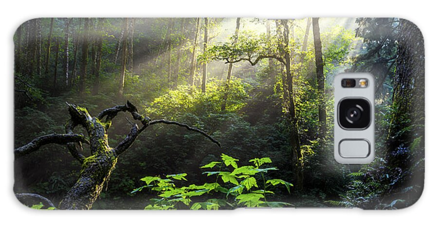 Light Galaxy Case featuring the photograph Sacred Light by Chad Dutson