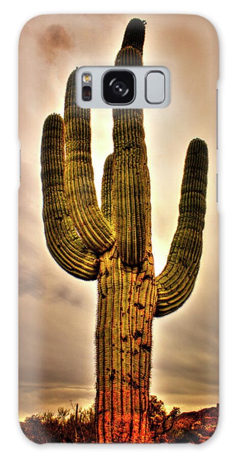 Arizona Galaxy S8 Case featuring the photograph Saguaro and Slate Gray Winter Sky by Roger Passman