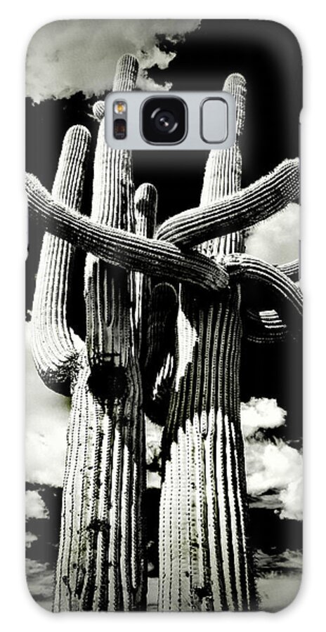 Usa Galaxy Case featuring the photograph Saguaro Embrace by Roger Passman