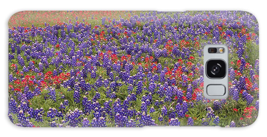 00170984 Galaxy S8 Case featuring the photograph Sand Bluebonnet And Paintbrush by Tim Fitzharris
