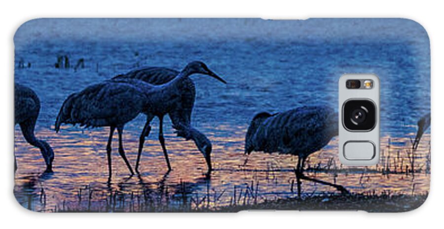 Animals Galaxy Case featuring the photograph Sandhill Cranes at Twilight by Bruce Bonnett