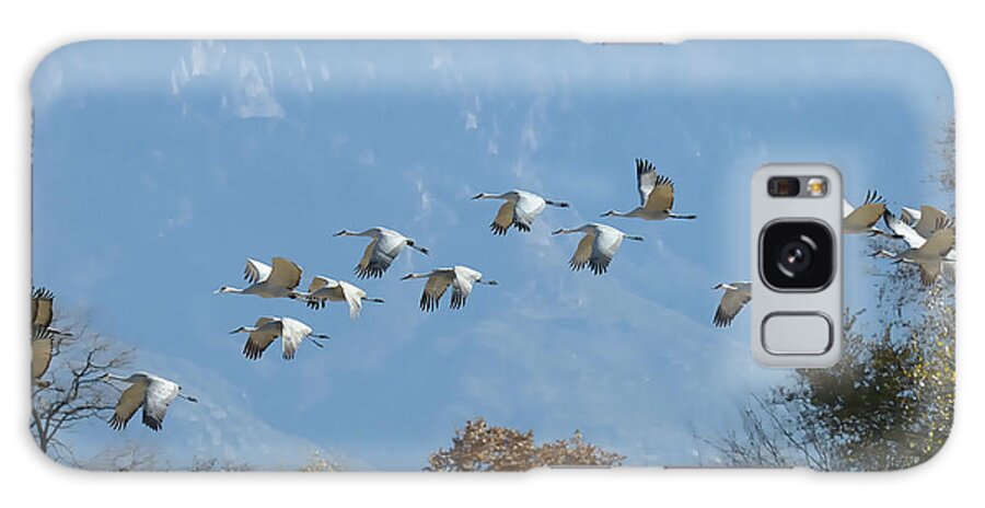 Southwest Usa Galaxy S8 Case featuring the photograph Sandhill Cranes in Flight by Alan Toepfer