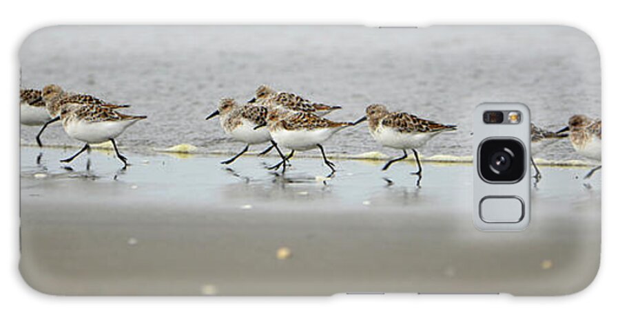 Denise Bruchman Galaxy Case featuring the photograph Sandpiper Rush Hour by Denise Bruchman