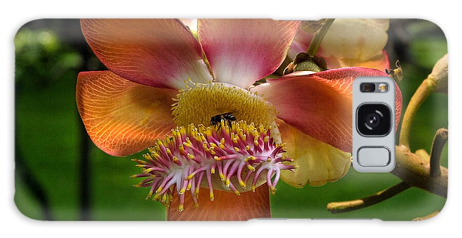 Scenic Galaxy Case featuring the photograph Sara Tree Flower DTHB104 by Gerry Gantt