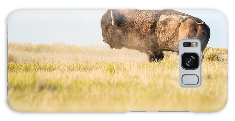 Grasslands National Park Galaxy Case featuring the photograph Saskatchewan Bison by Matt Hammerstein