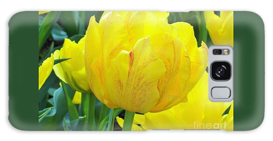 Tulip Galaxy Case featuring the photograph Sassy Yellow Tulip by Carol Riddle