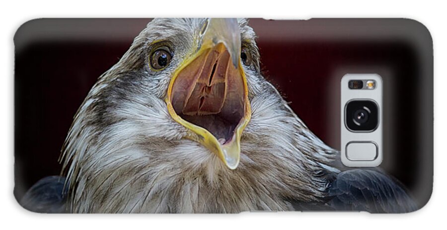 Juvenile Galaxy Case featuring the photograph Screaming Eagle by Randy Hall