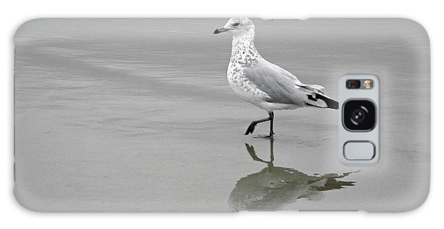 Seagull Sea Gull Surf Seaside Bird Galaxy Case featuring the photograph Sea Gull Walking in Surf by Wayne Marshall Chase