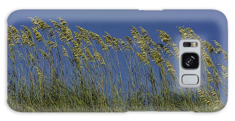 Original Galaxy Case featuring the photograph Sea oats on the dunes by WAZgriffin Digital