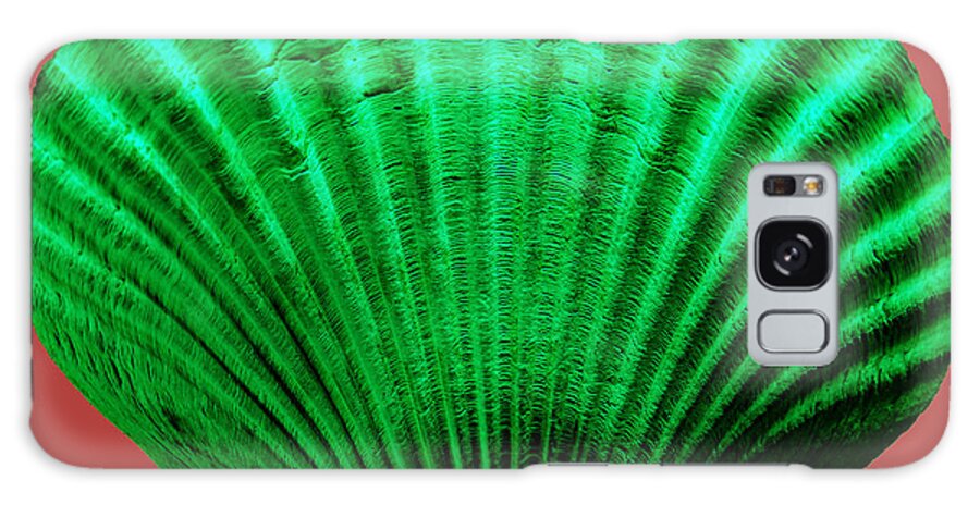 Sea Galaxy Case featuring the photograph Sea Shell-Green-red by WAZgriffin Digital