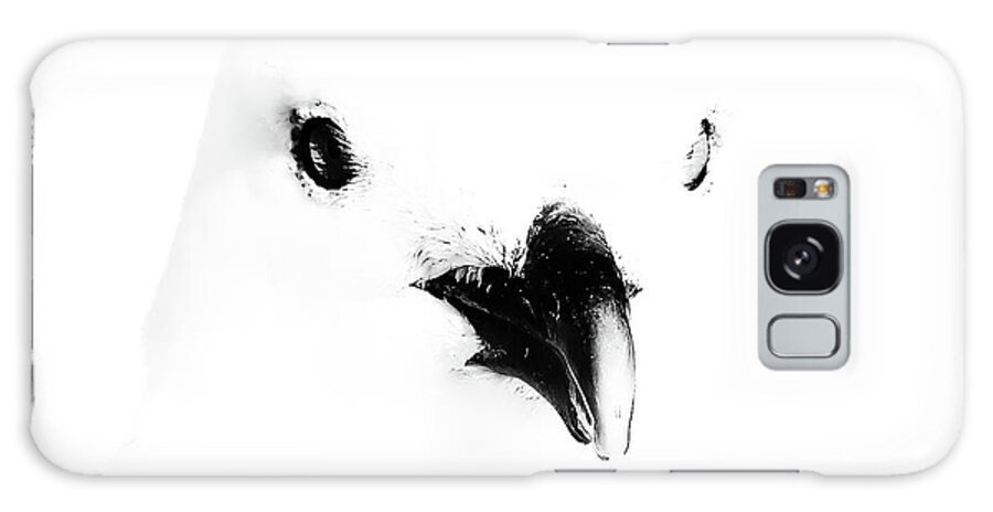 Black And White Galaxy Case featuring the photograph Seagull Art by Darius Aniunas