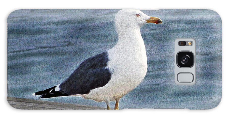 Bird Galaxy S8 Case featuring the photograph Seagull Portrait by Sue Melvin