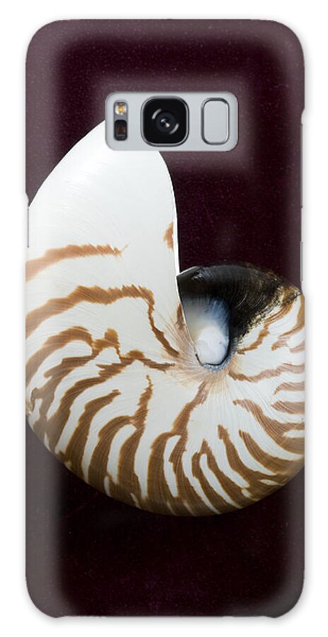 Beach Art Galaxy Case featuring the photograph Seashell on Black Background by Bill Brennan - Printscapes