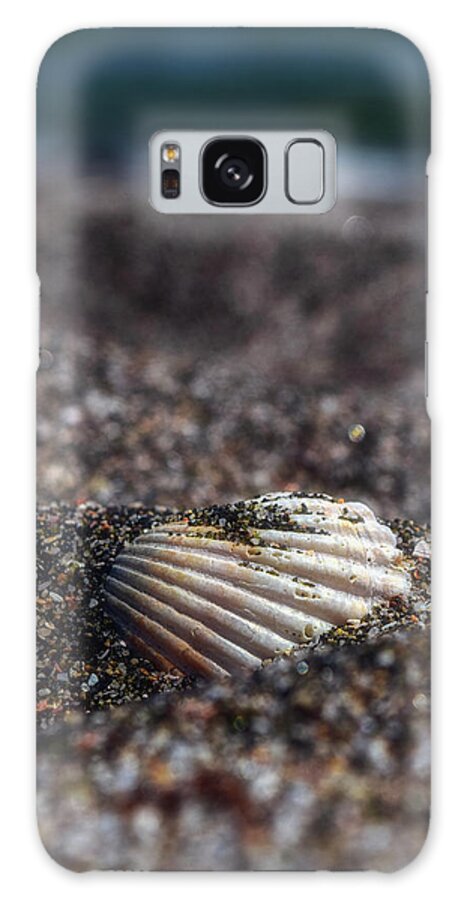 Sea Galaxy S8 Case featuring the photograph Seashell by Plamen Petkov