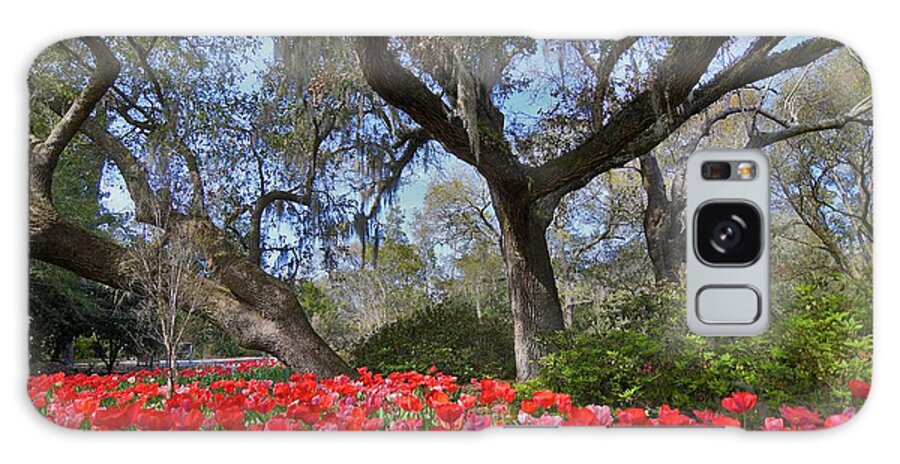 Oak Trees Galaxy Case featuring the photograph Seeing Red by Julie Adair