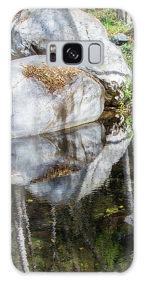 Pond Galaxy Case featuring the photograph Serene Reflections by Ed Clark