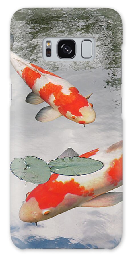Japanese Koi Fish Galaxy Case featuring the photograph Serenity - Red And White Koi by Gill Billington
