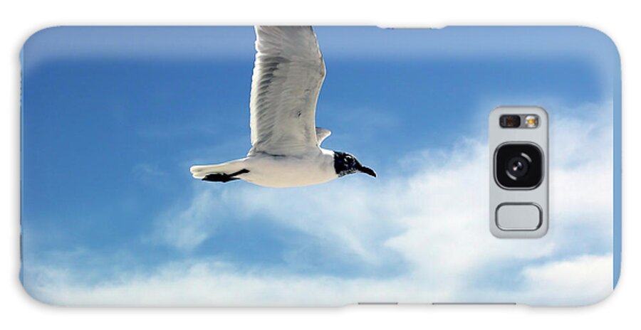 Seagull Galaxy S8 Case featuring the photograph Serenity Seagull by Marie Hicks