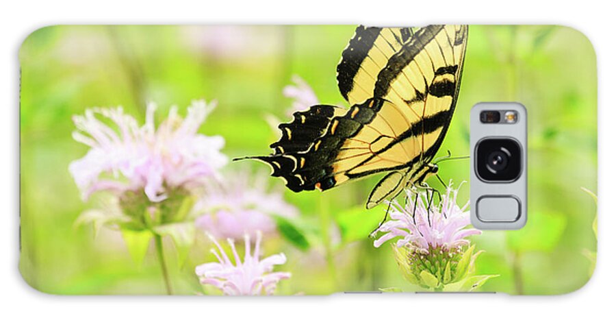 Forest Preserve Galaxy Case featuring the photograph Series of Yellow Swallowtail #5 of 6 by Joni Eskridge