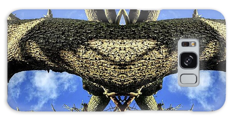 Treeart Galaxy Case featuring the photograph Set Against A Bright Blue Summer Sky by John Williams