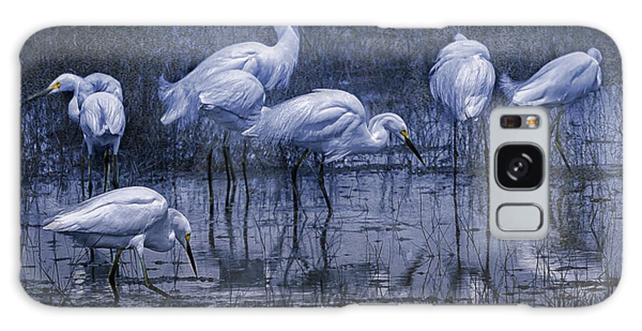 Snowy Egrets Galaxy Case featuring the photograph Seven Snowy Egrets, cyan by Belinda Greb