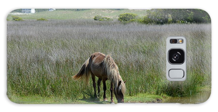 Cape Lookout Galaxy Case featuring the photograph Shackleford Pony by Dan Williams