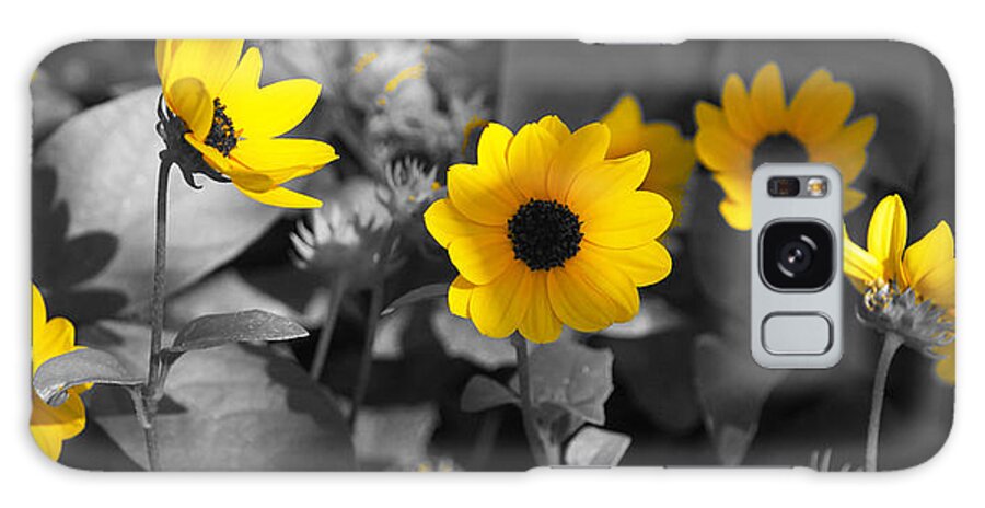 Flowers Galaxy Case featuring the photograph Shaded Daisies by Lawrence S Richardson Jr