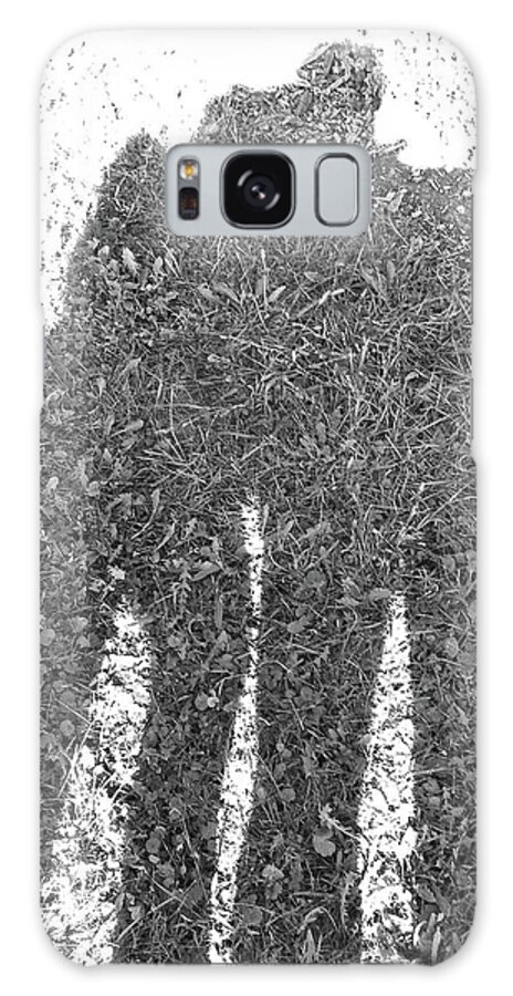 Shadow Galaxy Case featuring the photograph Shadow In The Meadow BW by Wilhelm Hufnagl