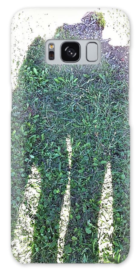 Shadow Galaxy Case featuring the photograph Shadow in the Meadow by Wilhelm Hufnagl