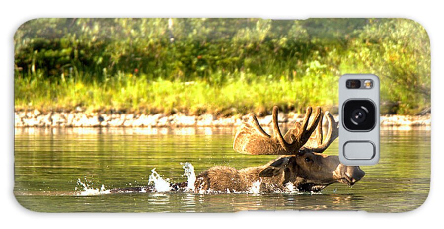 Moose Galaxy Case featuring the photograph Shaking In The Lake by Adam Jewell