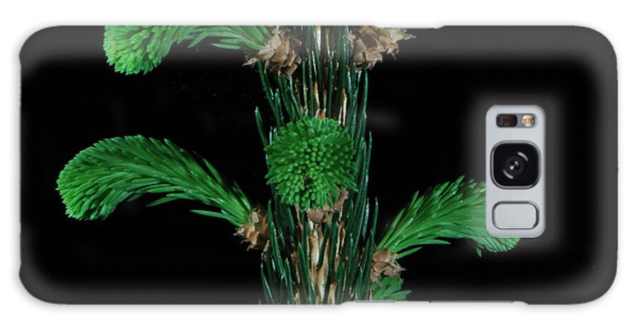 Spruce Galaxy Case featuring the photograph Sharp and Soft by Mark Fuller
