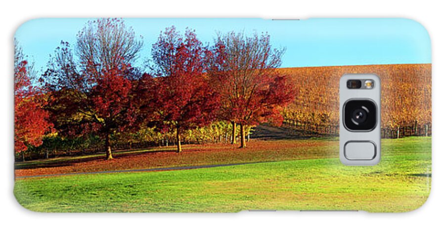 Shaw And Smith Winery Adelaide Hills Mt Lofty Ranges South Australia Landscape Pano Panorama Australian Vines Vineyard Autumn Grass Galaxy Case featuring the photograph Shaw and Smith Winery by Bill Robinson