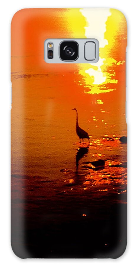 Bird Galaxy Case featuring the photograph She is back by Yelena Tylkina