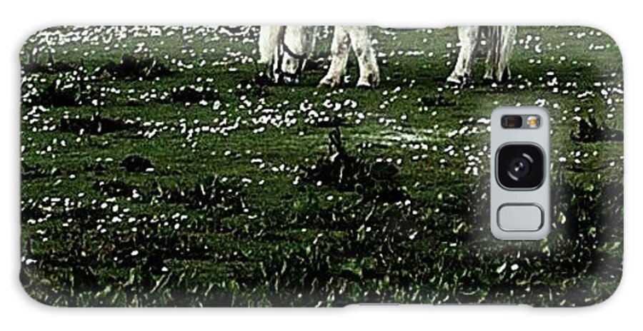 Pony Galaxy Case featuring the photograph Shetland Pony by HweeYen Ong
