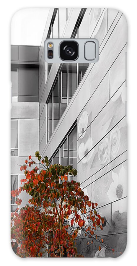 Shoreline Galaxy Case featuring the photograph Shoreline City Hall by Mary Jo Allen