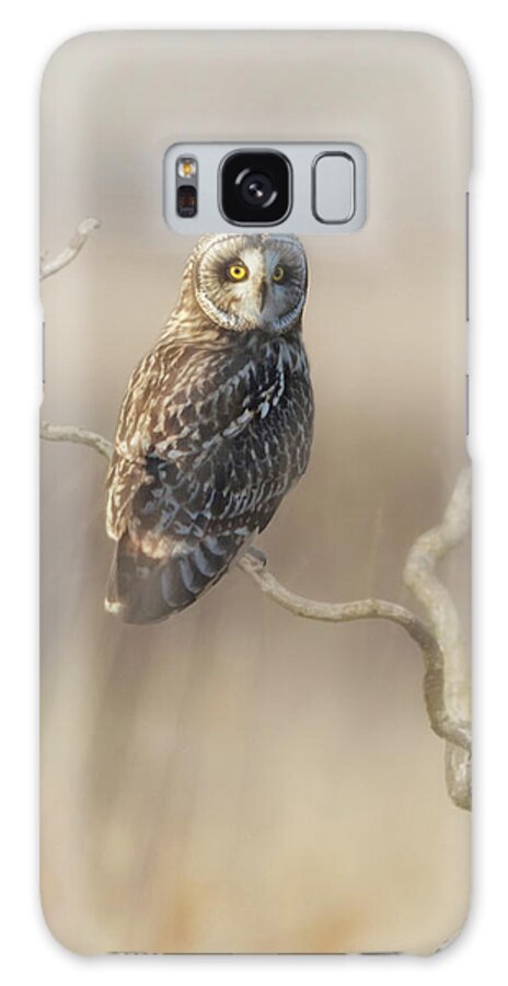 Owl Galaxy Case featuring the photograph Short-eared Owl by Angie Vogel