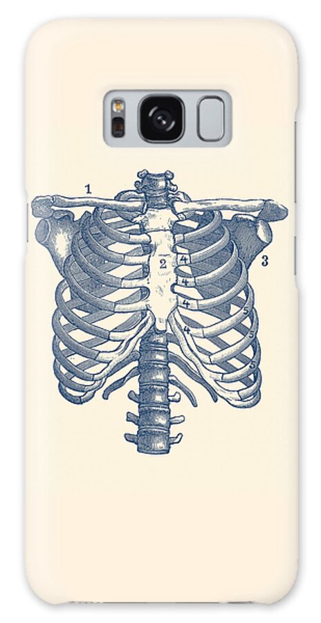 Rib Cage Galaxy Case featuring the drawing Shoulder and Rib Cage Diagram - Vintage Anatomy Poster by Vintage Anatomy Prints