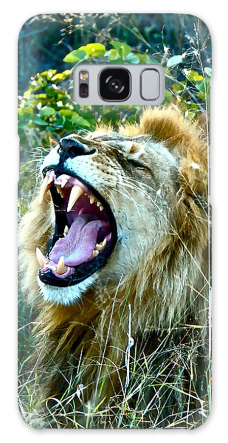 Lion Galaxy Case featuring the photograph Show Me Your Teeth by Don Mercer