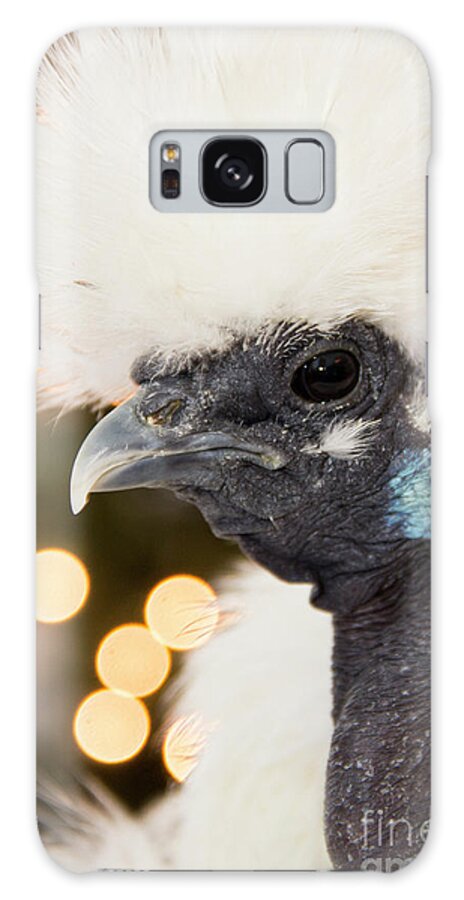 Chickens Galaxy Case featuring the photograph Showgirl a.k.a. Naked Neck Silkies by Jeannette Hunt