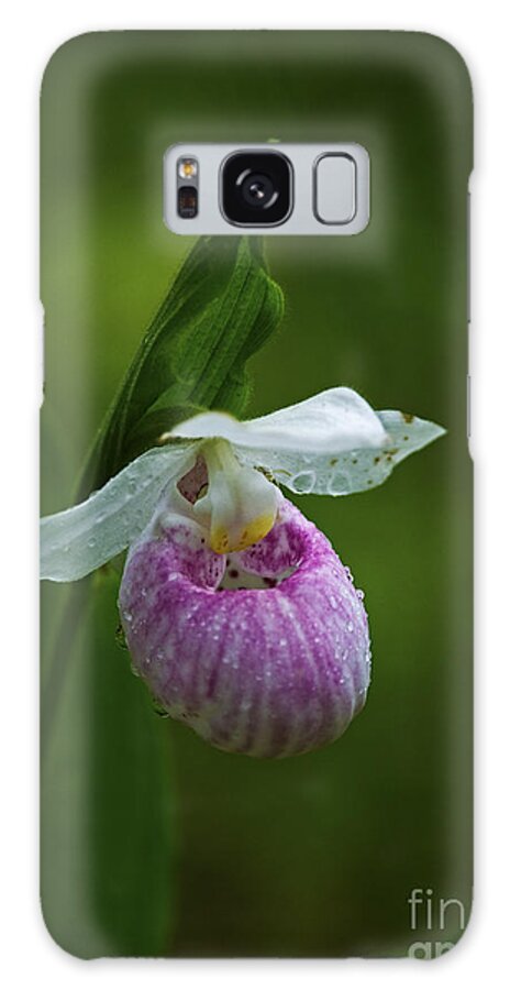 Showy Lady's Slipper Galaxy Case featuring the photograph Showy Lady's Slipper.. by Nina Stavlund