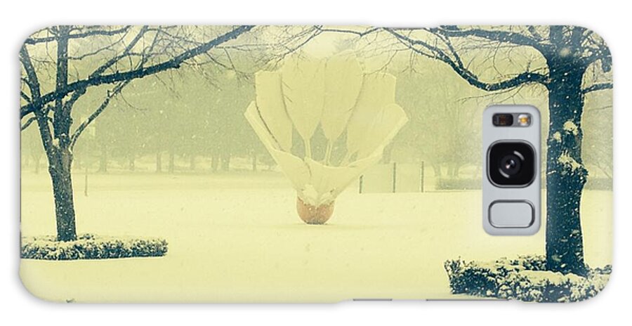 Nelson-atkins Galaxy Case featuring the photograph Shuttlecock in the Snow by Michael Oceanofwisdom Bidwell