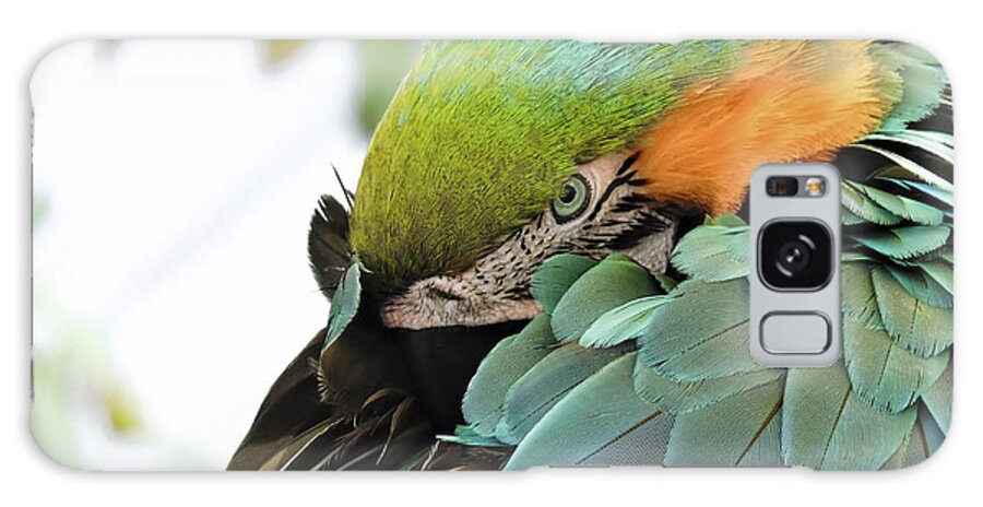 Pennysprints Galaxy Case featuring the photograph Shy Macaw by Penny Lisowski