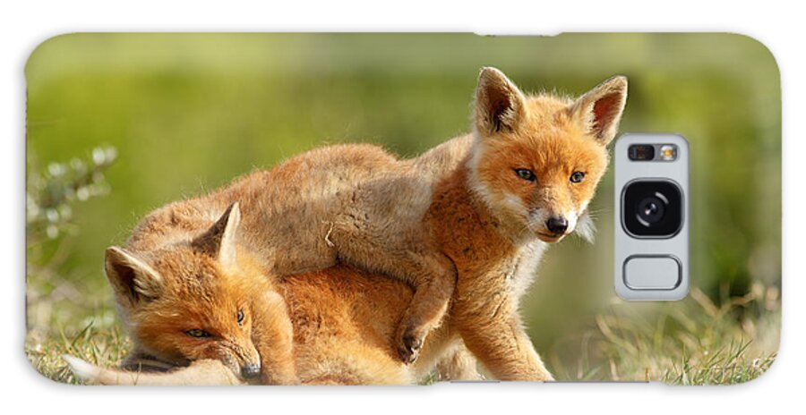 Red Fox Galaxy Case featuring the photograph Sibbling Love - Playing Fox Cubs by Roeselien Raimond
