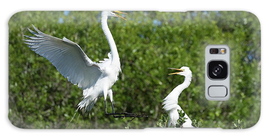 Egret Galaxy S8 Case featuring the photograph Sibling Rivalry by Eilish Palmer