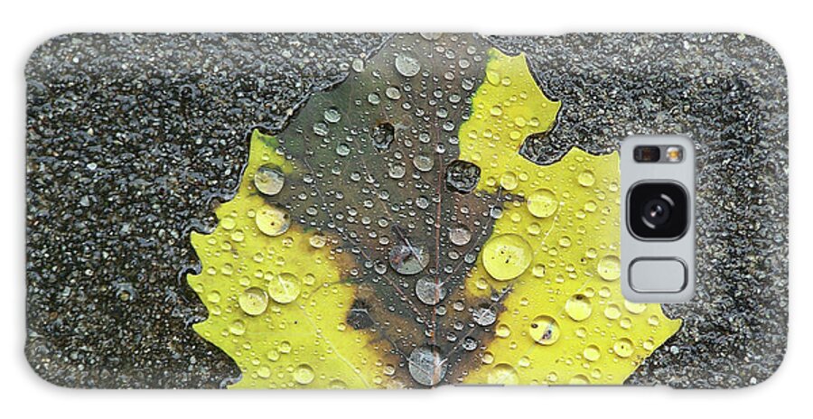 Leaf Galaxy Case featuring the photograph Sidewalk Leaf by Jerry Griffin