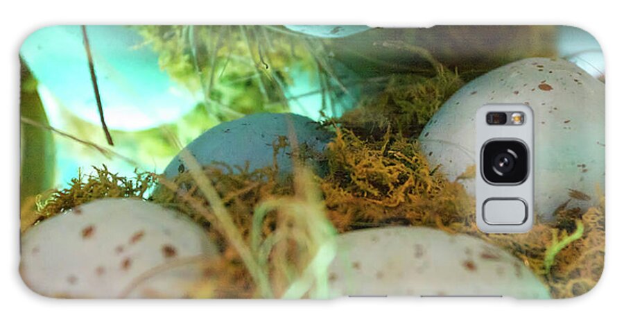Robins Eggs Galaxy Case featuring the photograph Signs of Spring by Xine Segalas