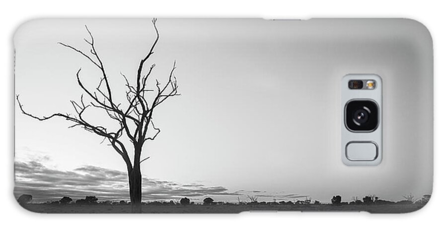 Tree Galaxy Case featuring the photograph Silhouette of a Bare Tree by Catherine Reading